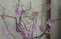 Tavaszra hangolva a Túróczy-házban Tavaszra hangolva a Túróczy-házban