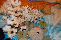 Imanap a Bahamákról - KÉPEKKEL! Imanap a Bahamákról - KÉPEKKEL!