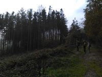 Teljesítménytúra Kőszegen Teljesítménytúra Kőszegen