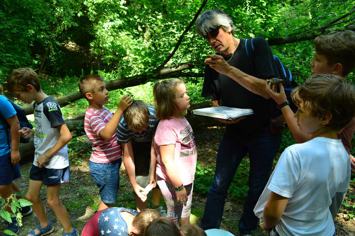 Szombathely történetével ismerkedtünk Szombathely történetével ismerkedtünk