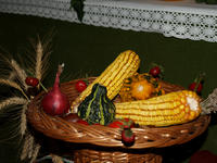 Terményhálaadó istentisztelet képekben Terményhálaadó istentisztelet képekben