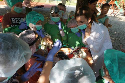 Nyitott ajtk 2018. jlius